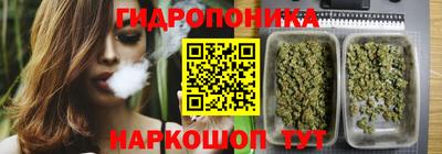 гидропоника Азнакаево