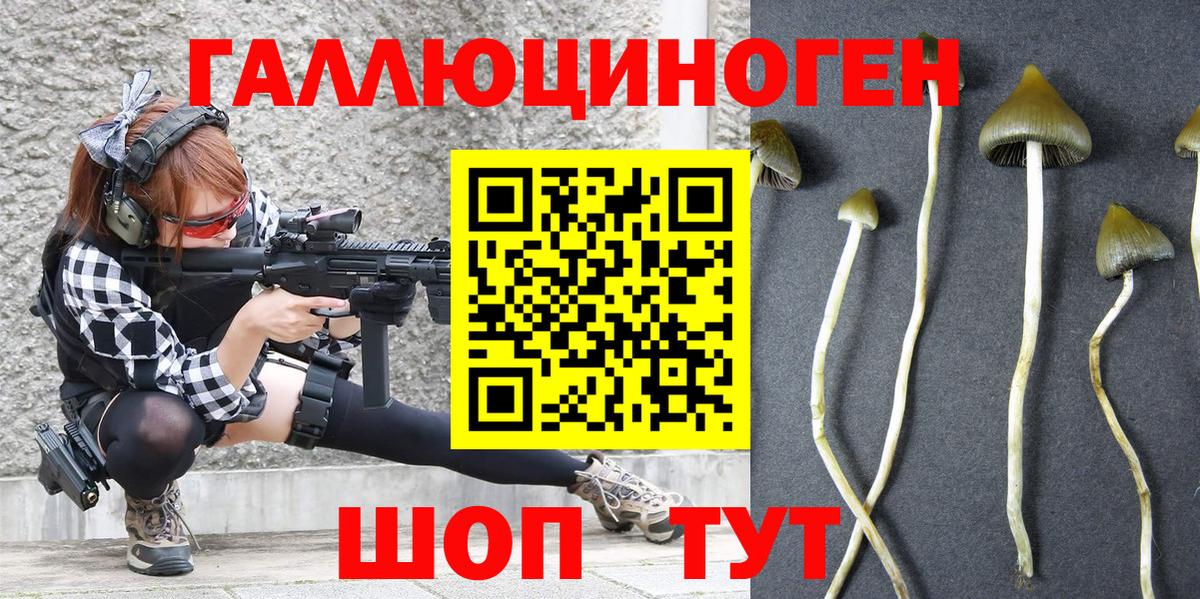 где найти   Вход с VPN  Александров  Псилоцибиновые грибы Cubensis 