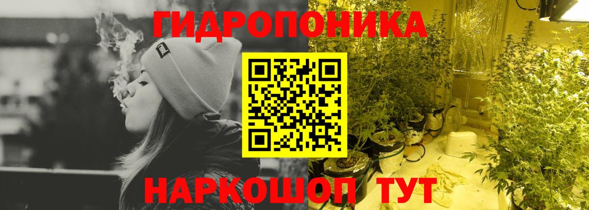 Марихуана план  Вход с VPN  МАРИХУАНА марихуана  Конопля AK-47  Александров 